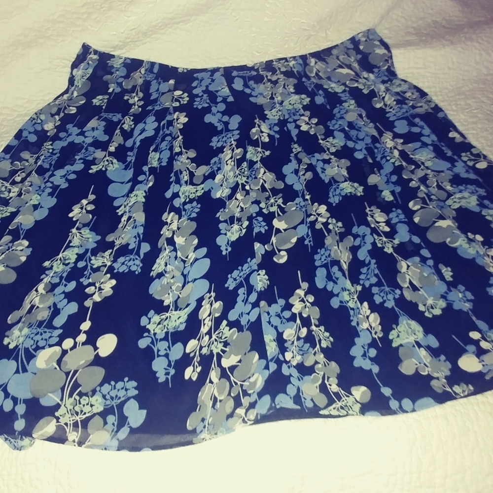 Sheer Skirt